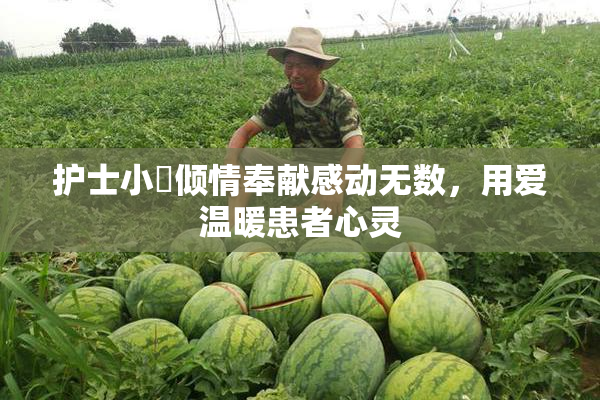 护士小婬倾情奉献感动无数，用爱温暖患者心灵