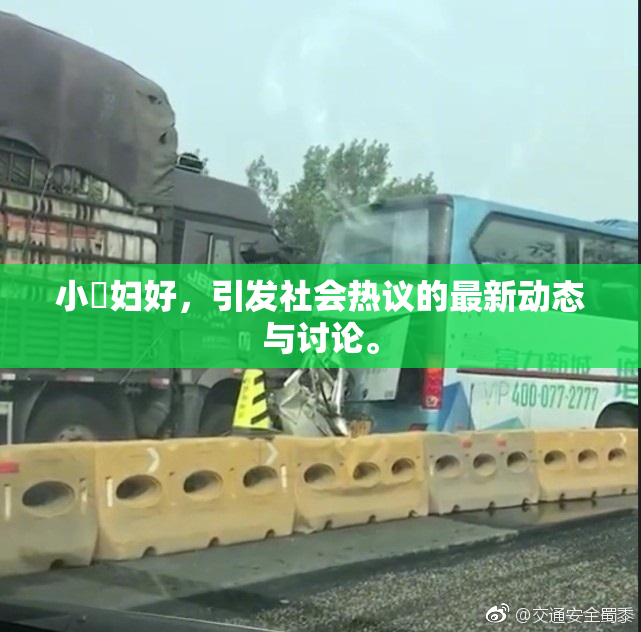 小婬妇好，引发社会热议的最新动态与讨论。