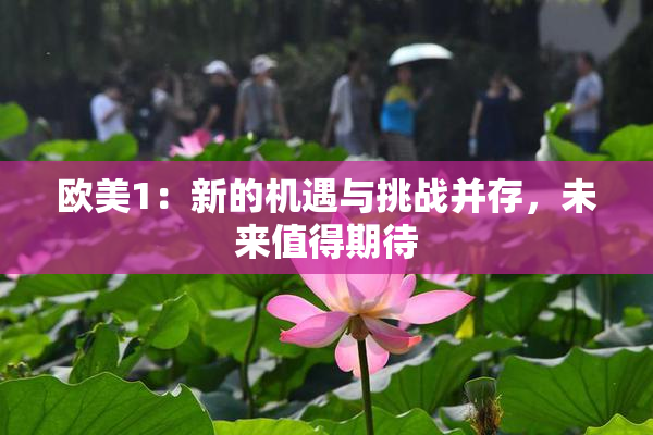 欧美1：新的机遇与挑战并存，未来值得期待
