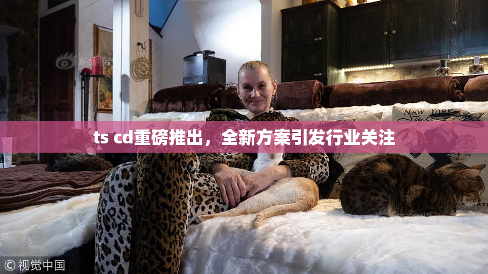 ts cd重磅推出，全新方案引发行业关注