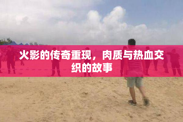 火影的传奇重现，肉质与热血交织的故事