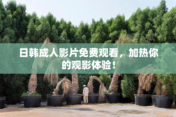 日韩成人影片免费观看，加热你的观影体验！