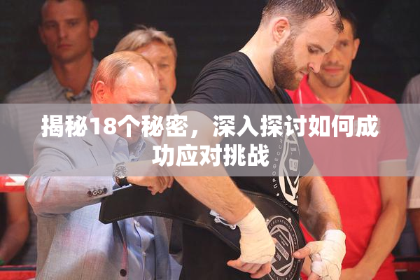 揭秘18个秘密，深入探讨如何成功应对挑战