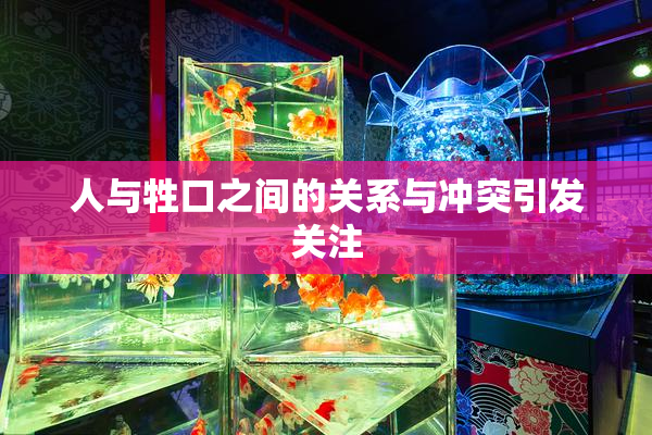 人与牲口之间的关系与冲突引发关注