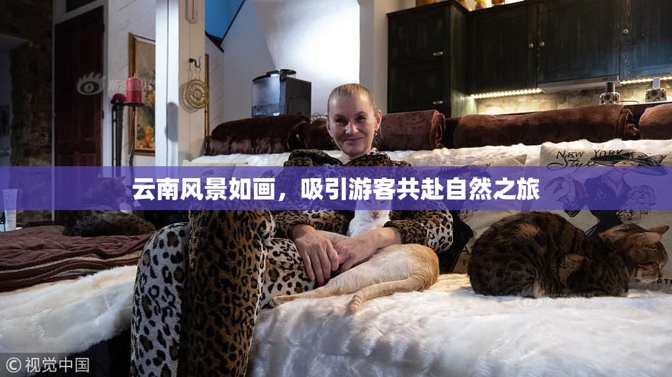 云南风景如画，吸引游客共赴自然之旅
