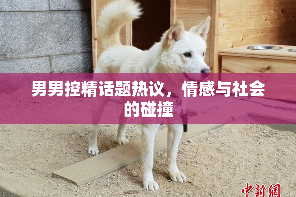 男男控精话题热议，情感与社会的碰撞