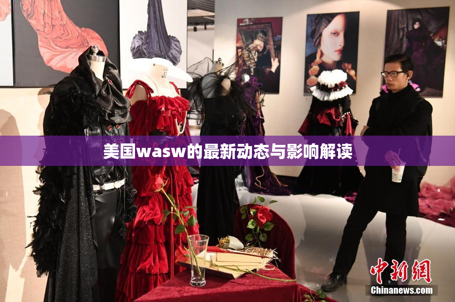 美国wasw的最新动态与影响解读