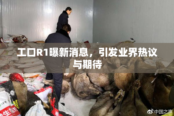 工口R1曝新消息，引发业界热议与期待