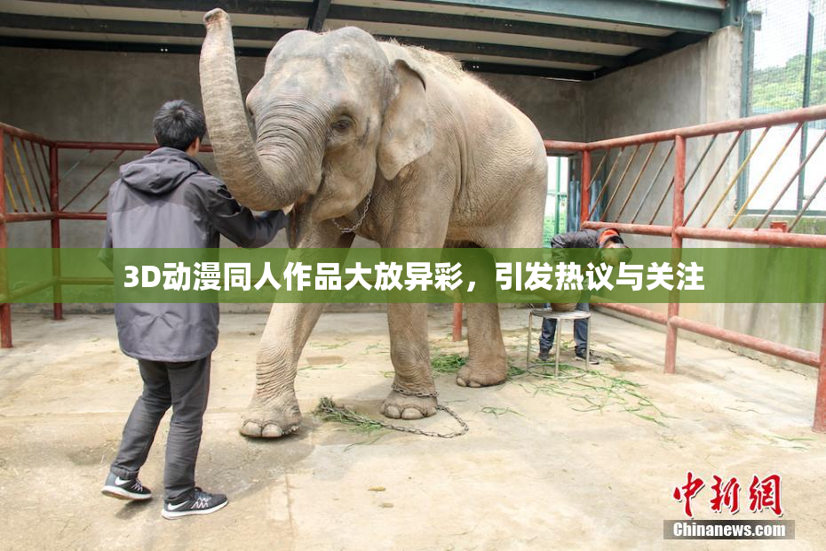 3D动漫同人作品大放异彩，引发热议与关注