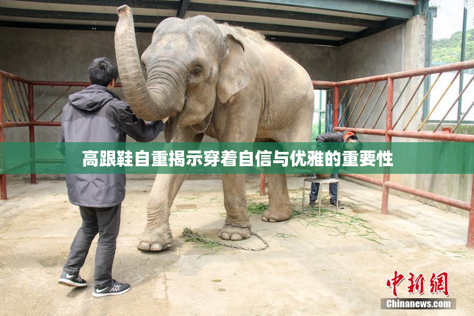 高跟鞋自重揭示穿着自信与优雅的重要性