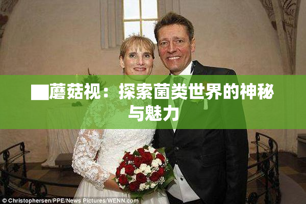 ▇蘑菇视：探索菌类世界的神秘与魅力