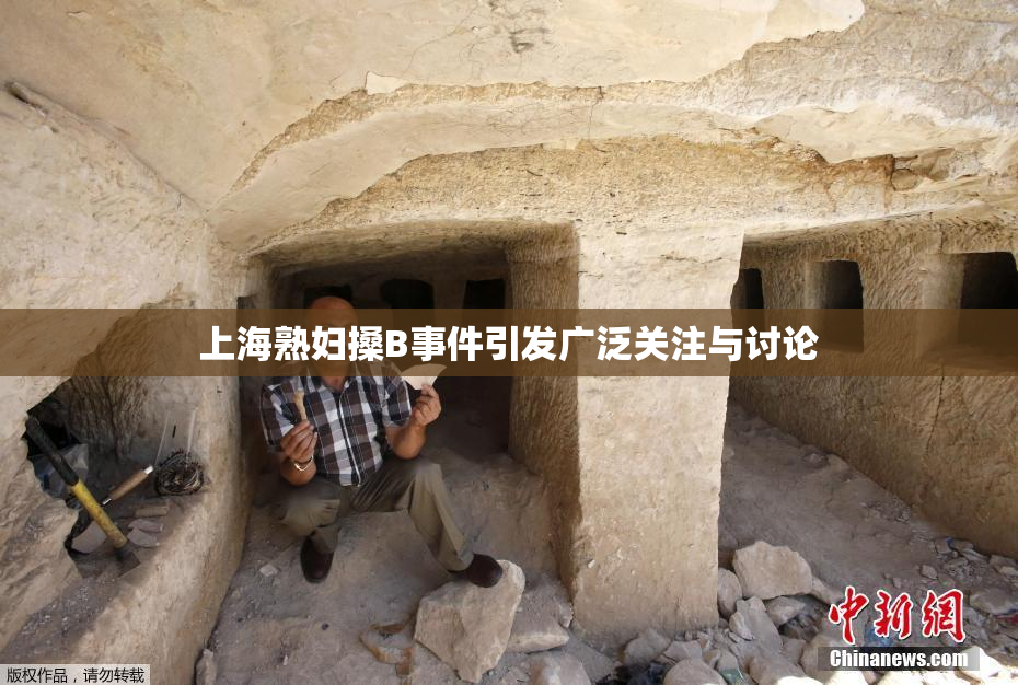 上海熟妇搡B事件引发广泛关注与讨论