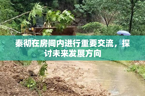 秦彻在房间内进行重要交流，探讨未来发展方向