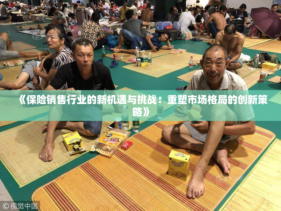 《保险销售行业的新机遇与挑战：重塑市场格局的创新策略》