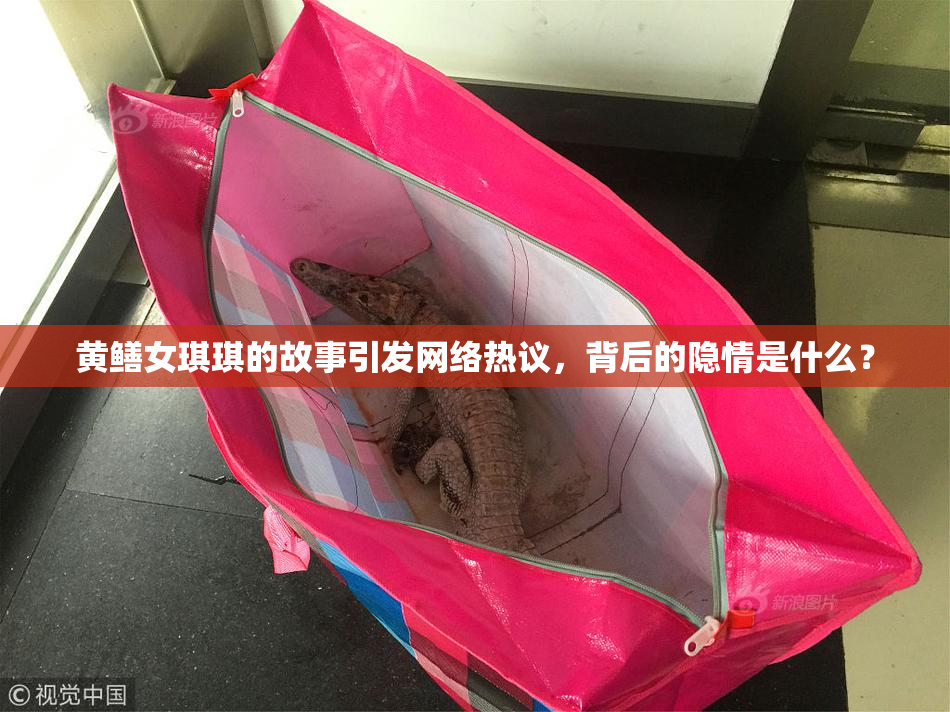 黄鳝女琪琪的故事引发网络热议，背后的隐情是什么？