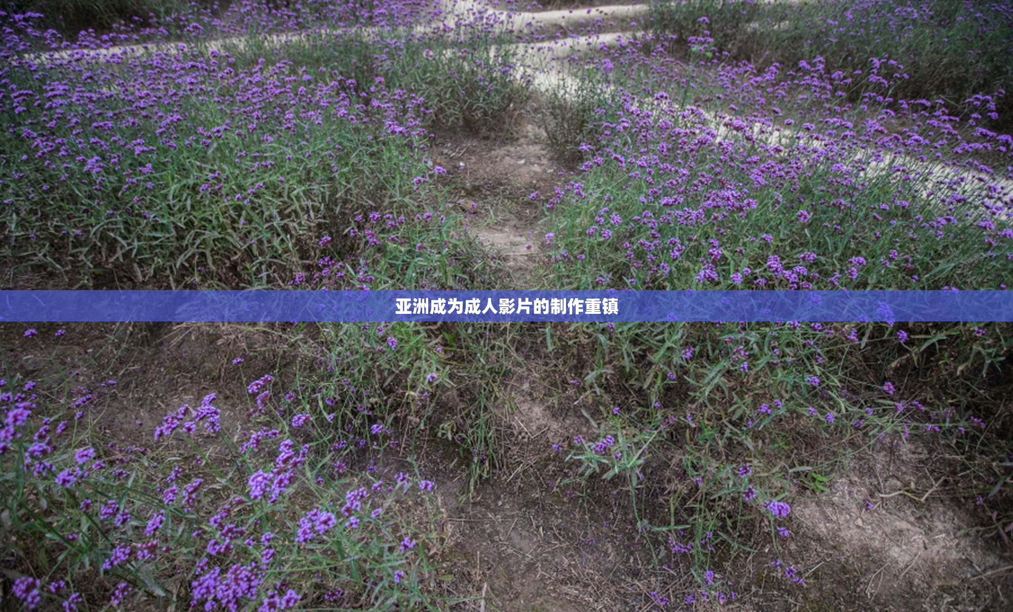 亚洲成为成人影片的制作重镇
