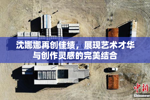 沈娜娜再创佳绩，展现艺术才华与创作灵感的完美结合