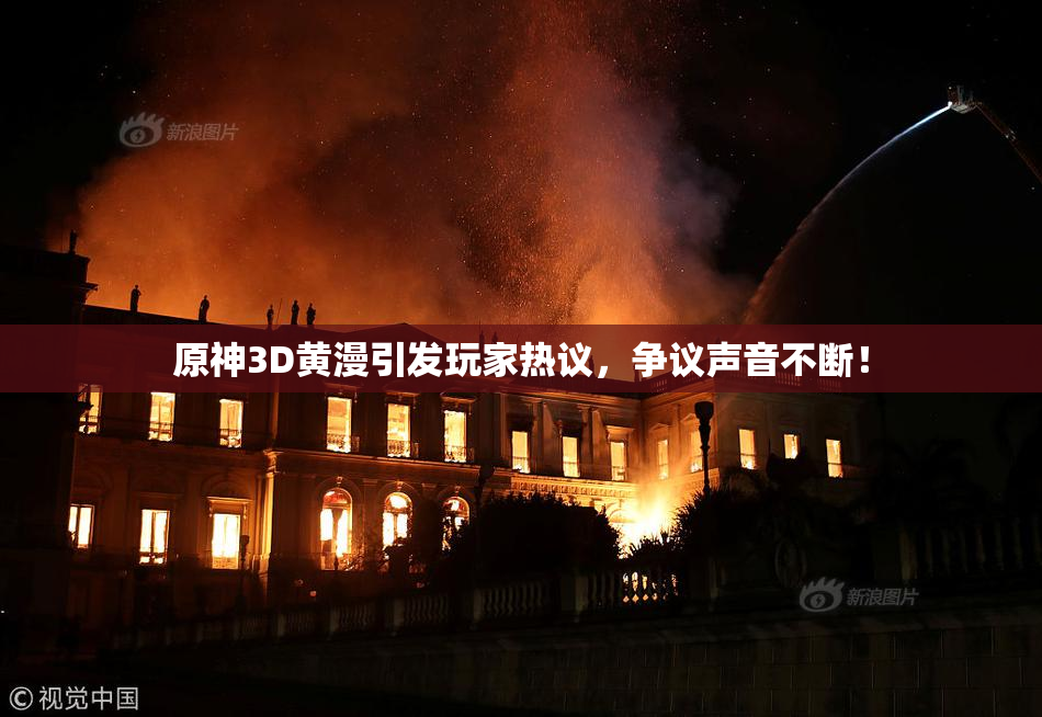 原神3D黄漫引发玩家热议，争议声音不断！