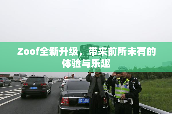 Zoof全新升级，带来前所未有的体验与乐趣