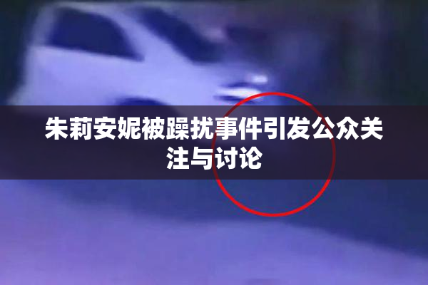 朱莉安妮被躁扰事件引发公众关注与讨论