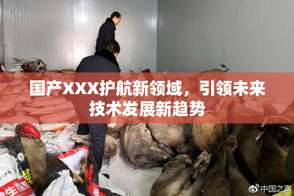 国产XXX护航新领域，引领未来技术发展新趋势