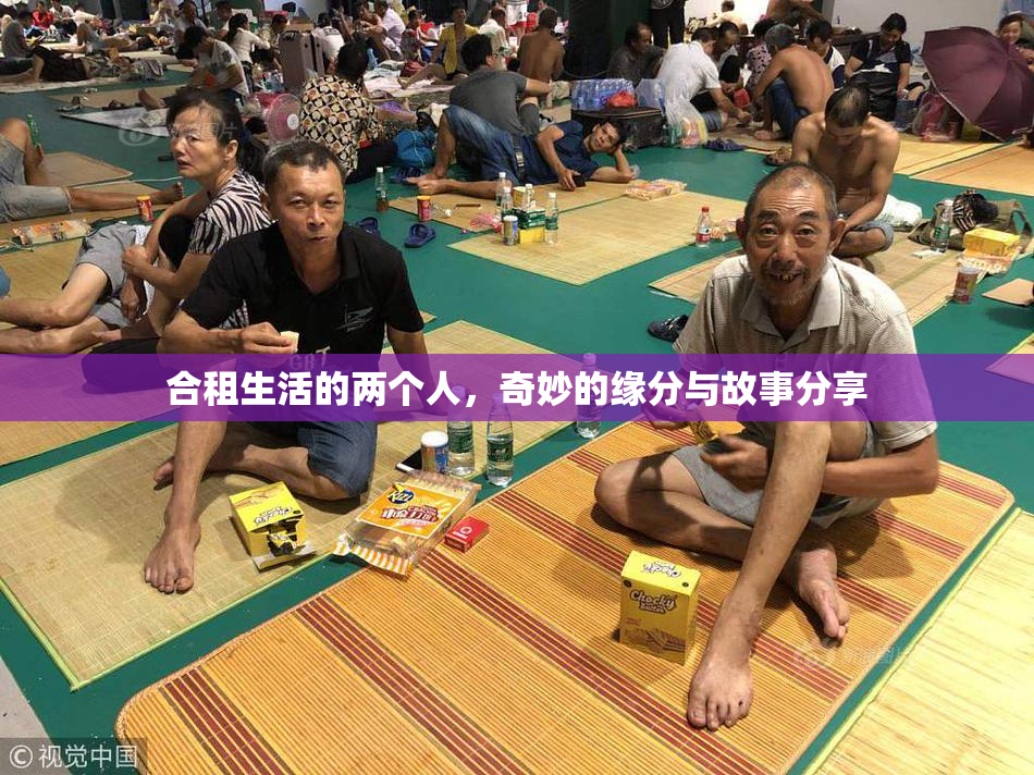 合租生活的两个人，奇妙的缘分与故事分享
