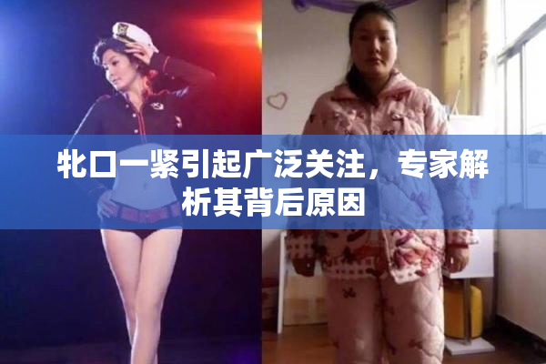 牝口一紧引起广泛关注，专家解析其背后原因