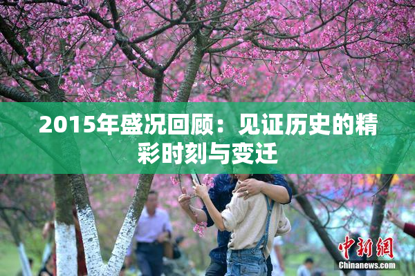 2015年盛况回顾：见证历史的精彩时刻与变迁