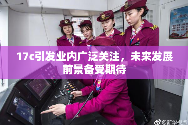 17c引发业内广泛关注，未来发展前景备受期待