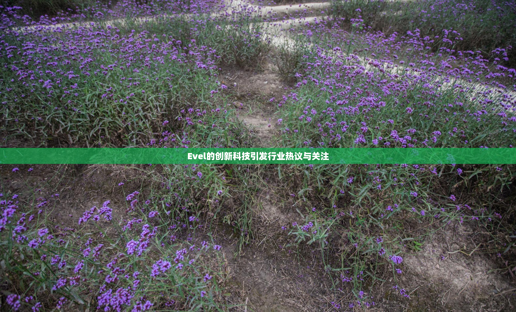 Evel的创新科技引发行业热议与关注