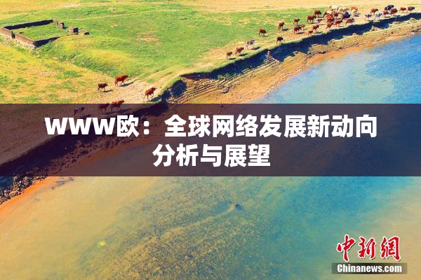 WWW欧：全球网络发展新动向分析与展望