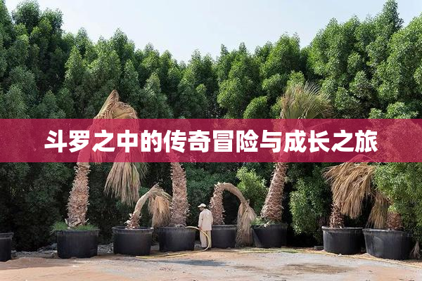 斗罗之中的传奇冒险与成长之旅