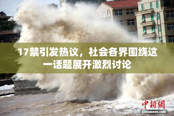 17禁引发热议，社会各界围绕这一话题展开激烈讨论