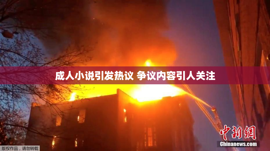 成人小说引发热议 争议内容引人关注