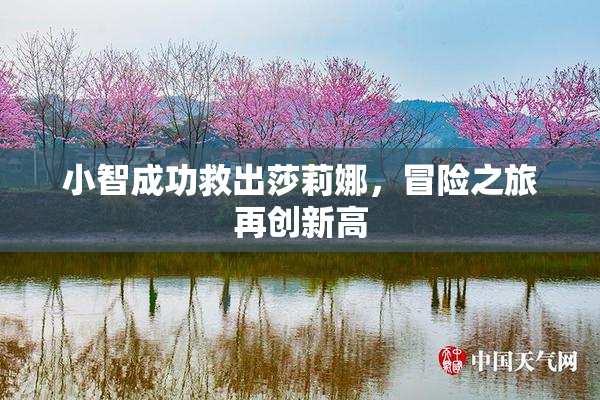 小智成功救出莎莉娜，冒险之旅再创新高