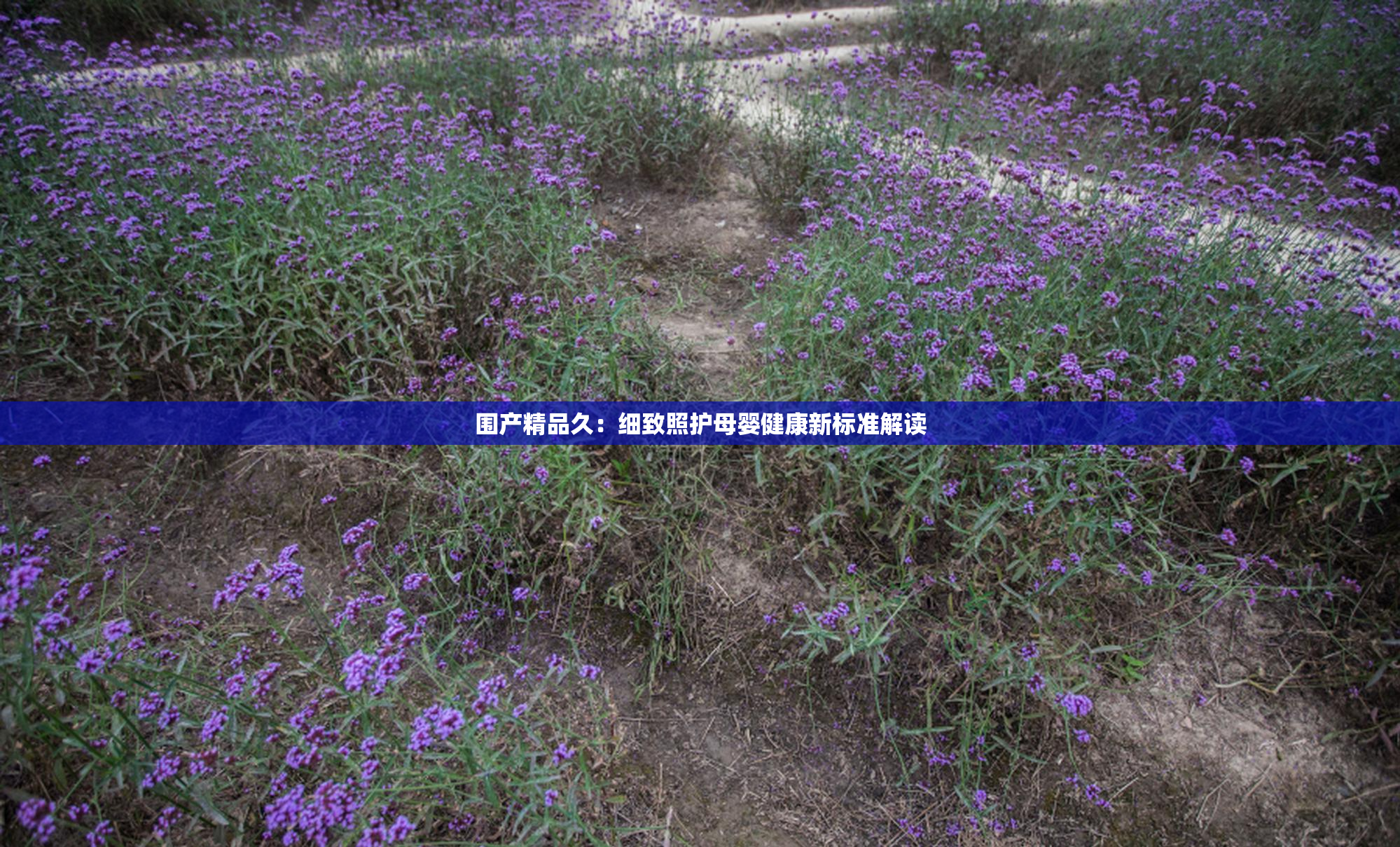 围产精品久：细致照护母婴健康新标准解读
