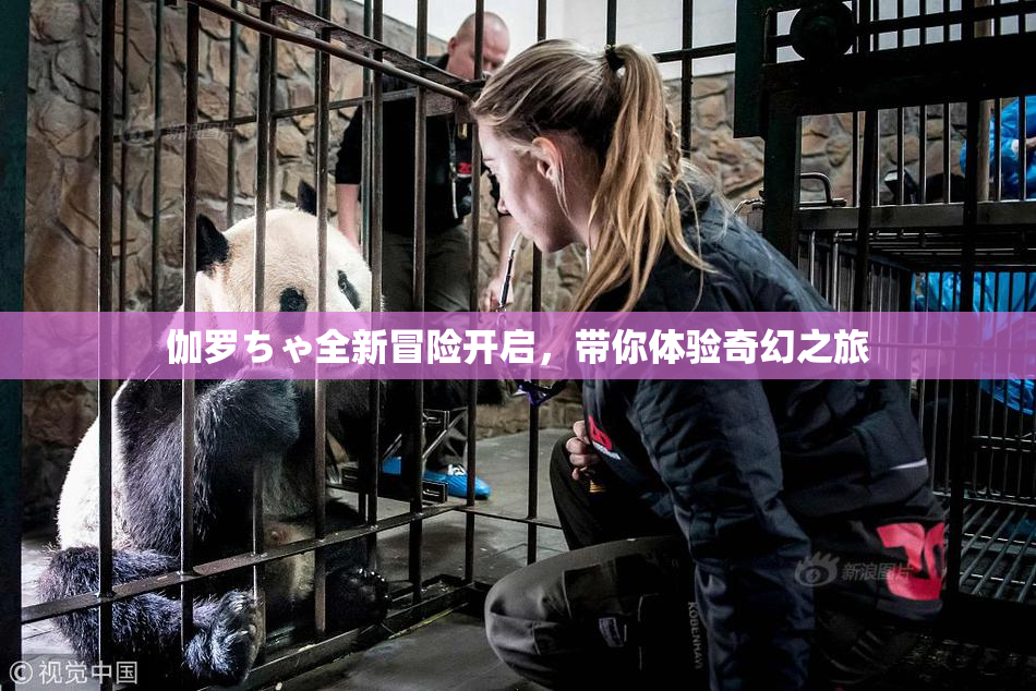伽罗ちゃ全新冒险开启，带你体验奇幻之旅