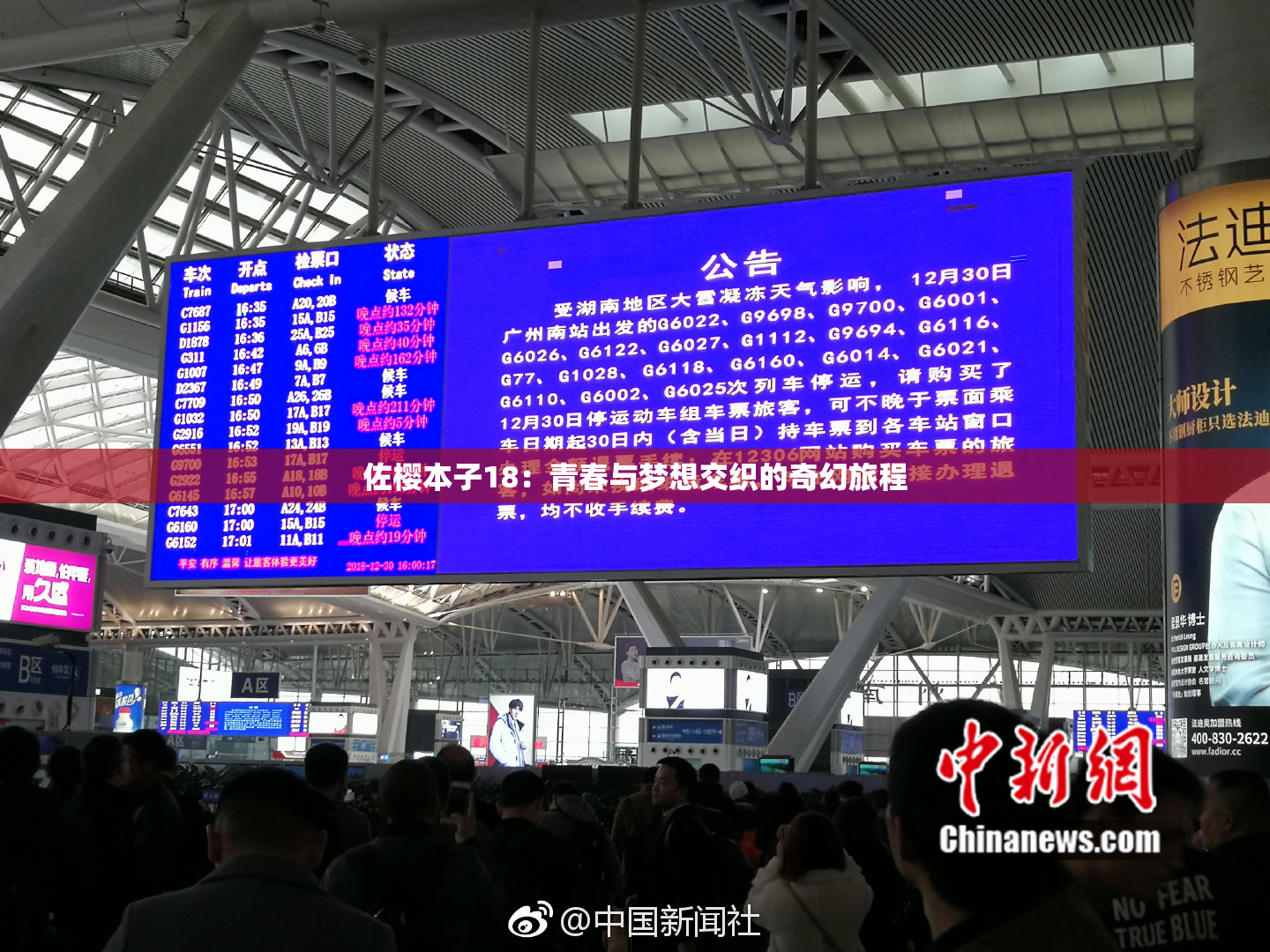 佐樱本子18：青春与梦想交织的奇幻旅程