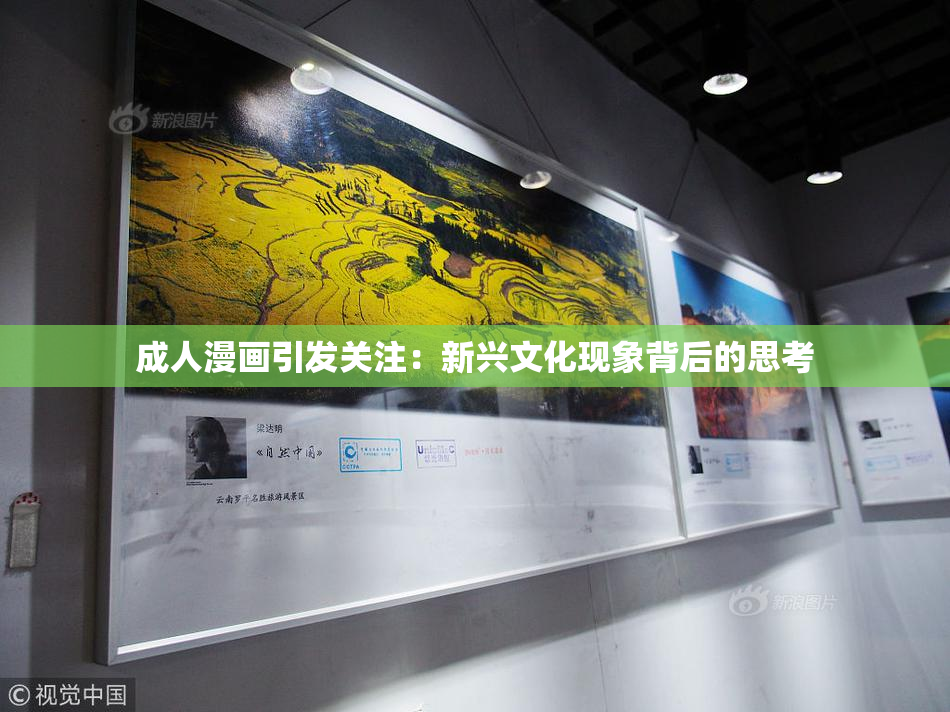 成人漫画引发关注：新兴文化现象背后的思考