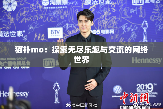 猫扑mo：探索无尽乐趣与交流的网络世界