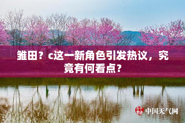 雏田？c这一新角色引发热议，究竟有何看点？
