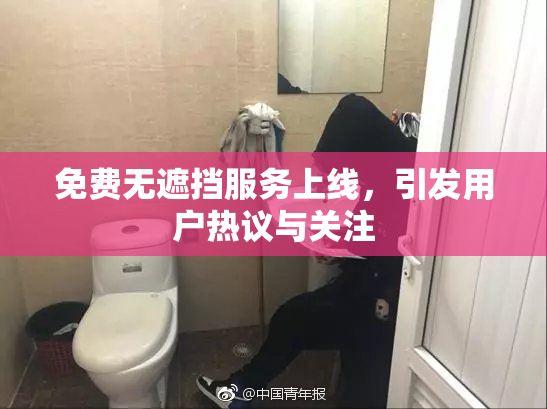 免费无遮挡服务上线，引发用户热议与关注