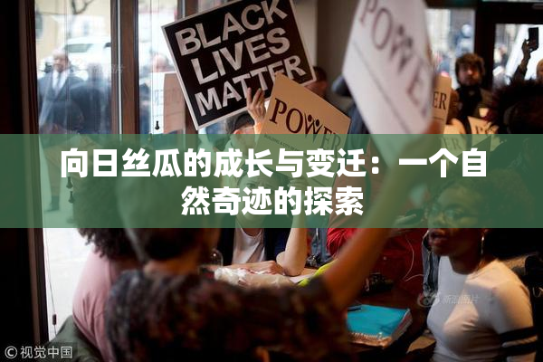 向日丝瓜的成长与变迁：一个自然奇迹的探索