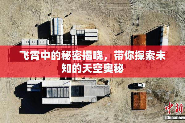 飞霄中的秘密揭晓，带你探索未知的天空奥秘