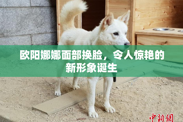 欧阳娜娜面部换脸，令人惊艳的新形象诞生