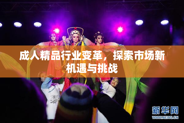 成人精品行业变革，探索市场新机遇与挑战