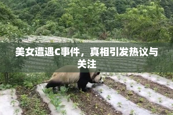 美女遭遇C事件，真相引发热议与关注