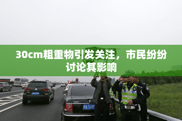 30cm粗重物引发关注，市民纷纷讨论其影响