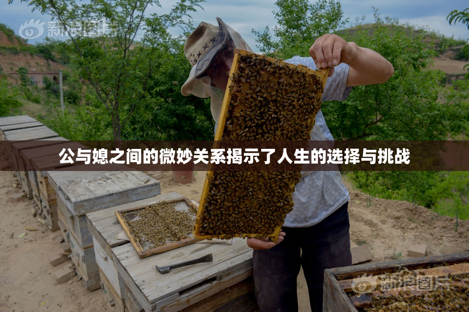 公与媳之间的微妙关系揭示了人生的选择与挑战