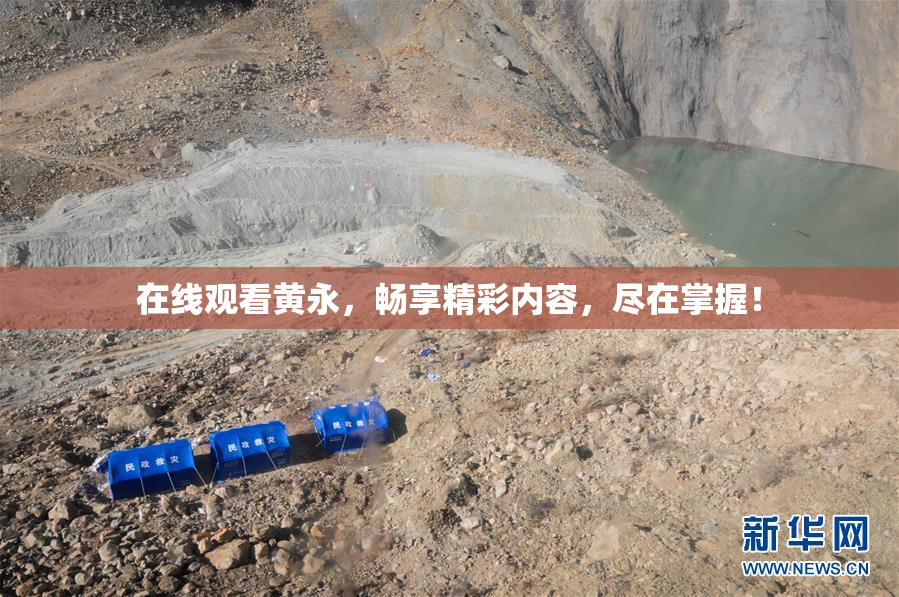 在线观看黄永，畅享精彩内容，尽在掌握！